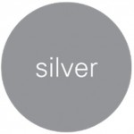 outplacement silver